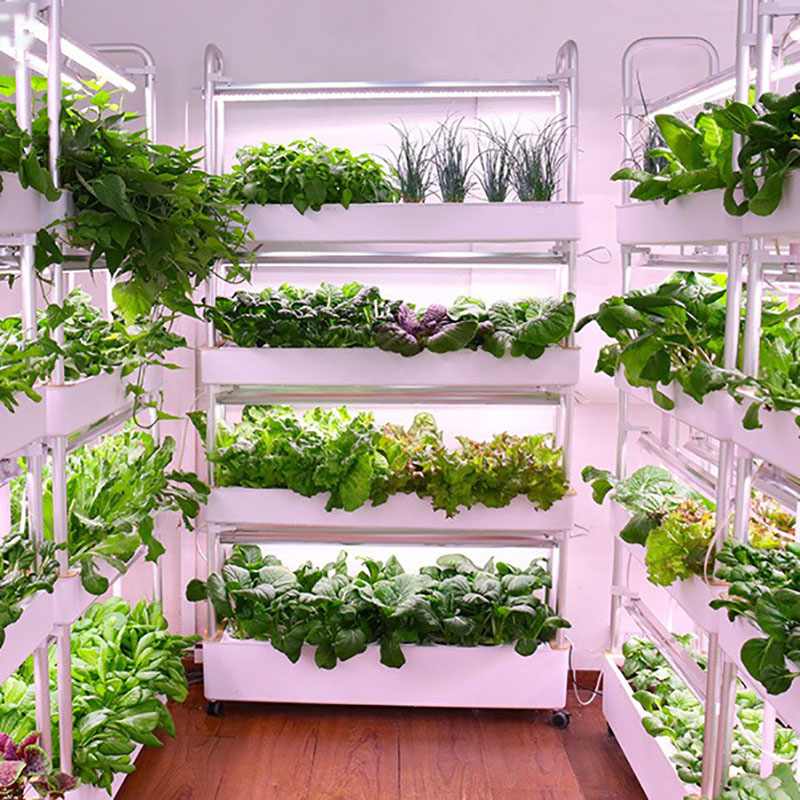 Hydroponics Growing System Ver - Smart Garden Vertical recension och pris