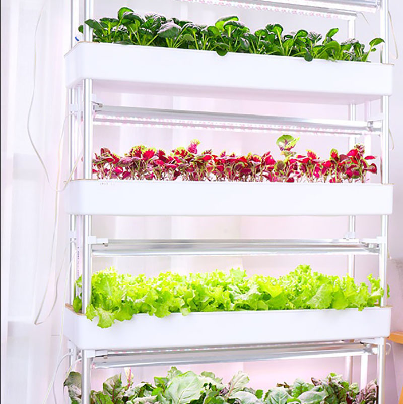 Hydroponics Growing System Ver - Smart Garden Vertical recension och pris
