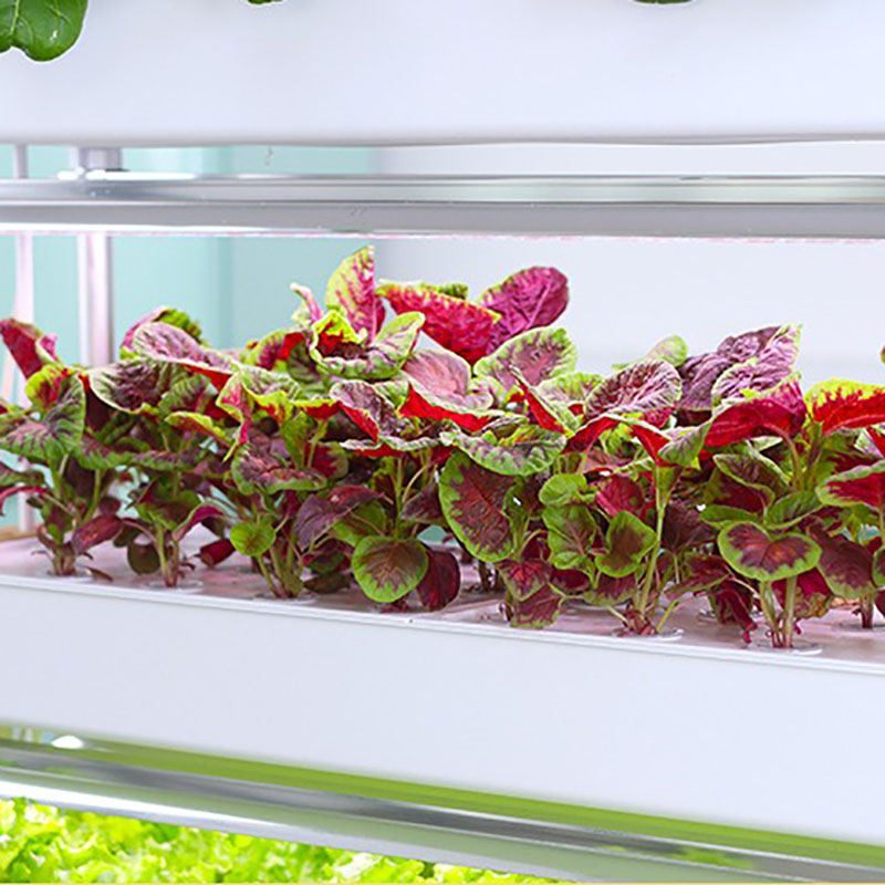 Hydroponics Growing System Ver - Smart Garden Vertical recension och pris