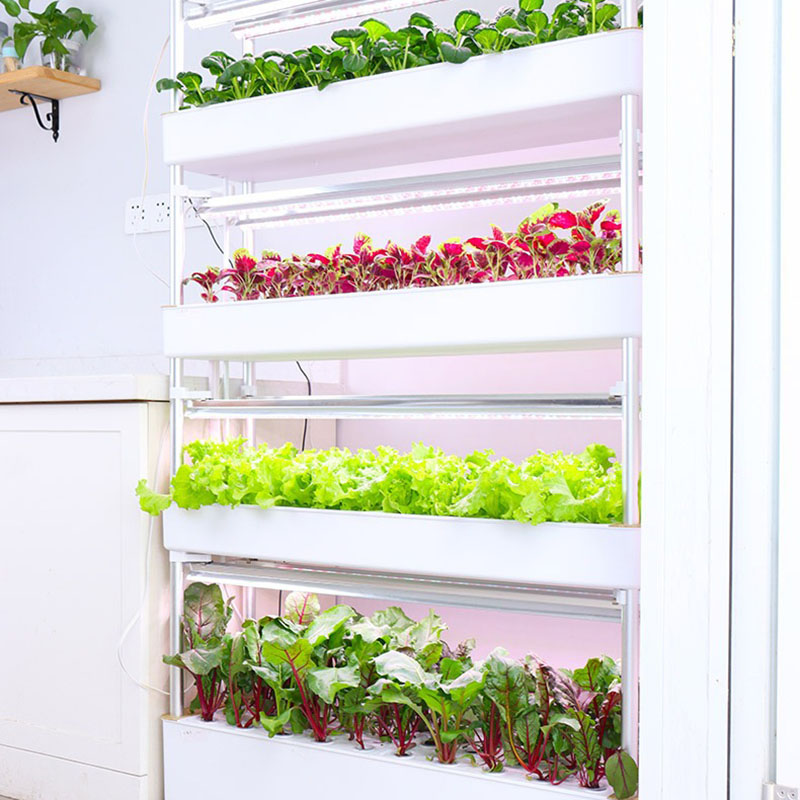 Hydroponics Growing System Ver - Smart Garden Vertical recension och pris