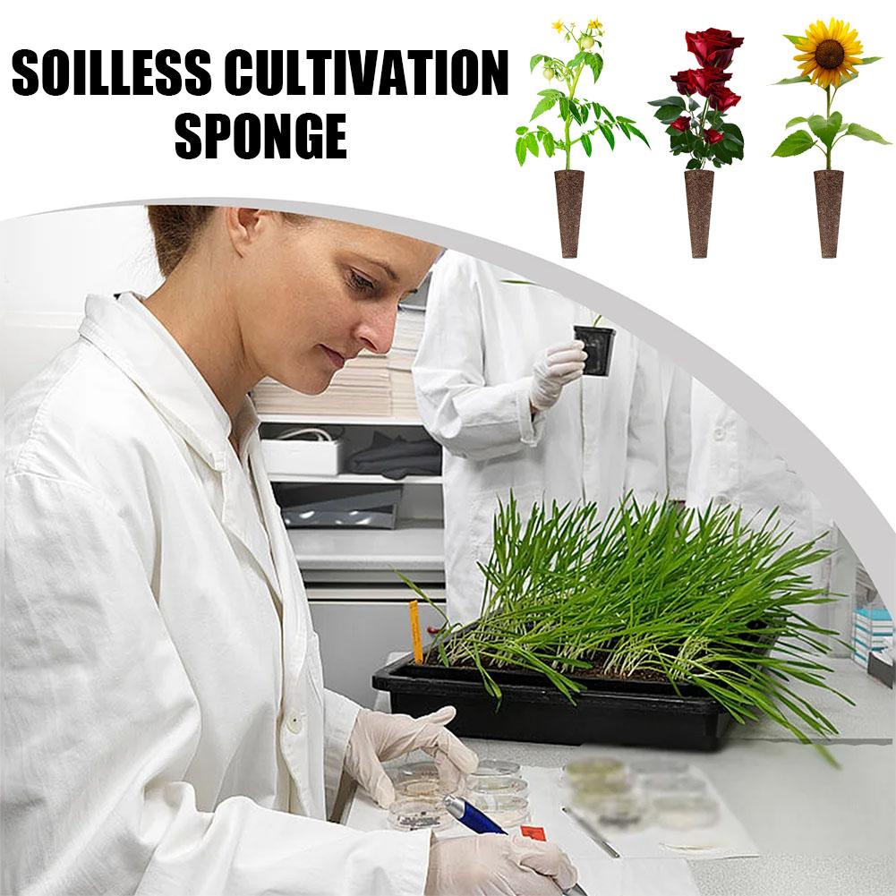 50Pcs Seed Grow Sponges Replac - Aerogarden Seed Pod recension och pris