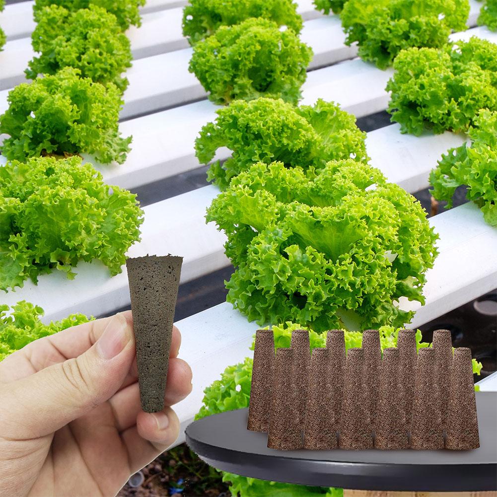50Pcs Seed Grow Sponges Replac - Aerogarden Seed Pod recension och pris