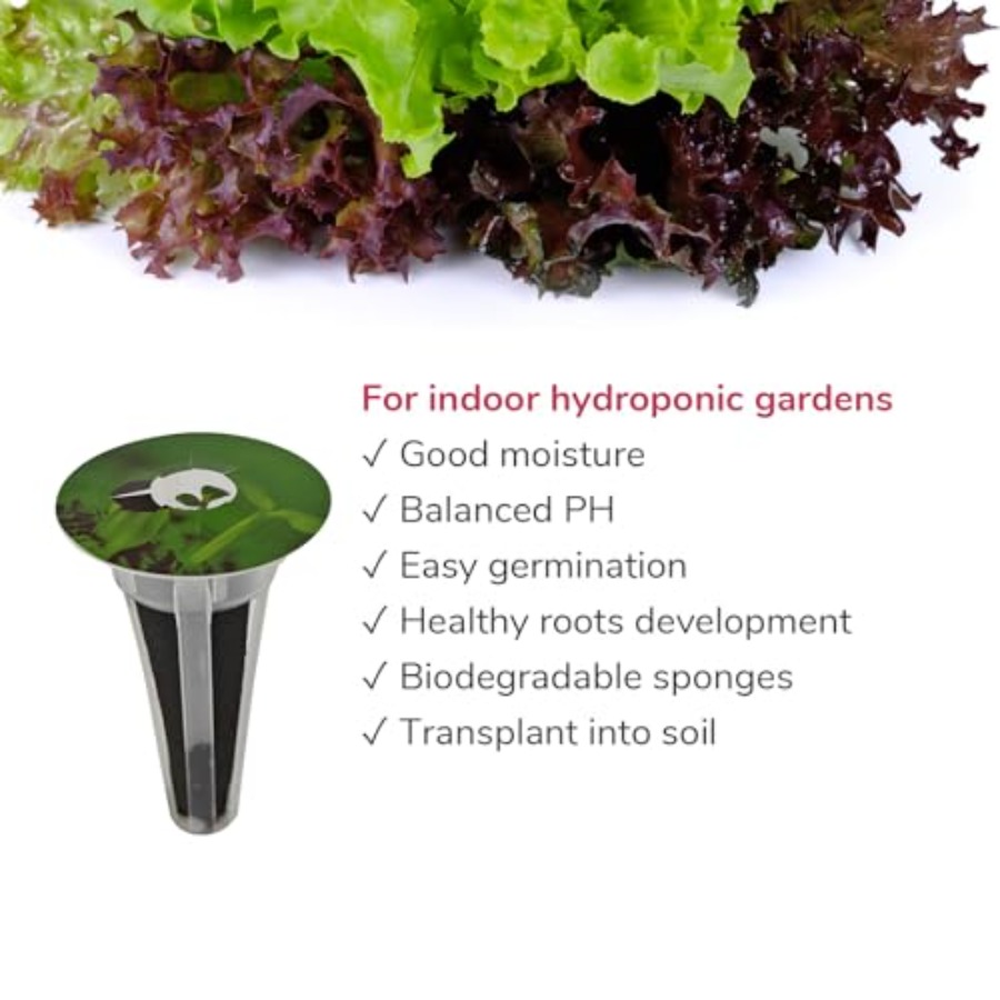 20-pod Seed Kit Lettuce Salad  - Aerogarden Seed Pod recension och pris