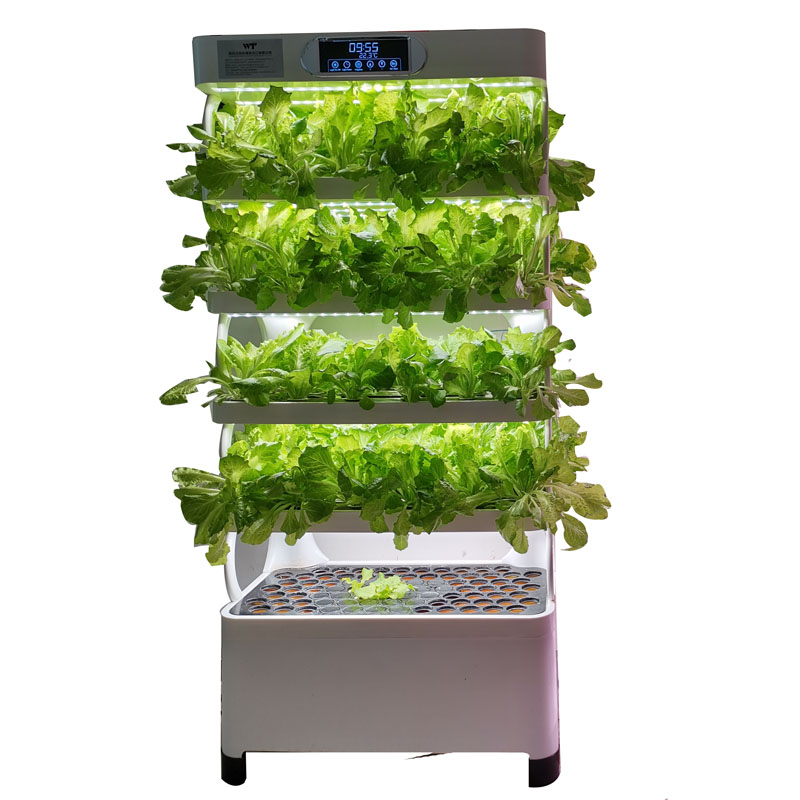 Indoor Smart Low Cost Hydropon - Smart Garden System recension och pris