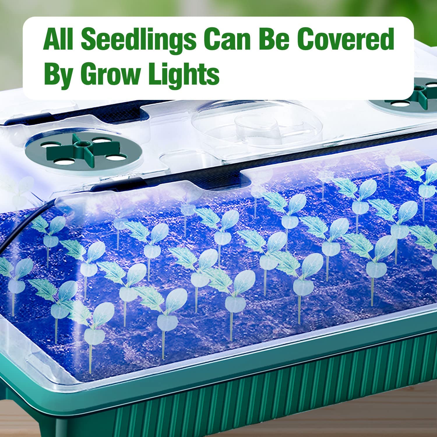 2 Packs, Seed Starter Trays Wi - Smart Garden Domes recension och pris