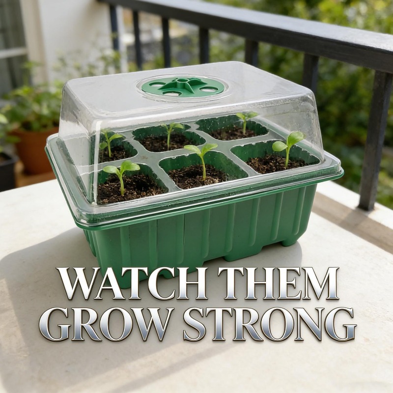 Seed Starter Tray with Lid 6 C - Smart Garden Domes recension och pris